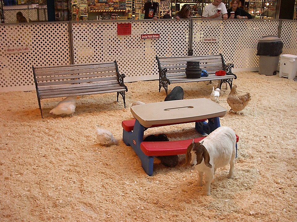 Kinderboerderij Dierenvreugd