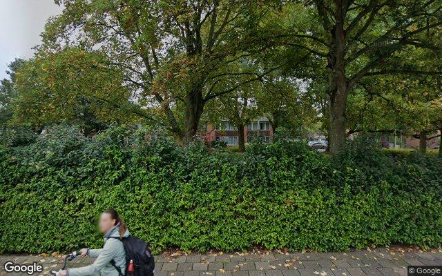 Speeltuin Graan voor Visch