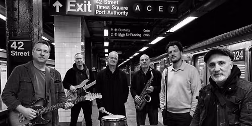The Amsterdam Funk Connection | Café | Cpunt — muziek in Hoofddorp